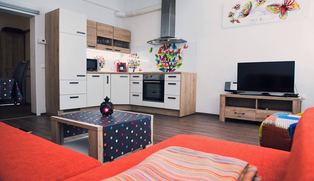 TARA strict center apartment (air conditioning) in Ljubljana