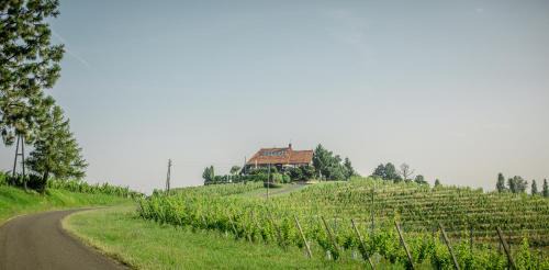 Taverna & Wine Jeruzalem in Ormoz