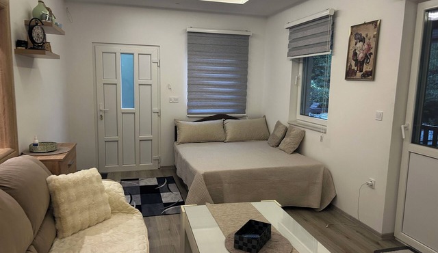 Terrific villa with AC in charming Sarajevo in Sarajevo