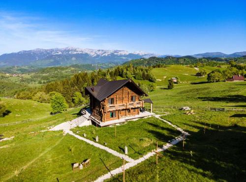 The Barn in Fundata