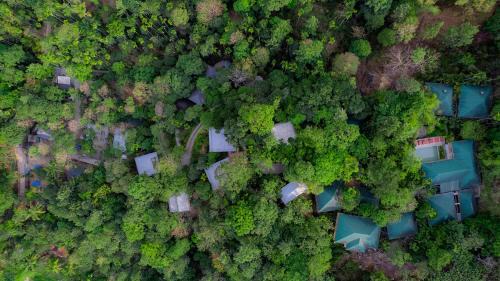 The Hive Wayanad in Wayanad