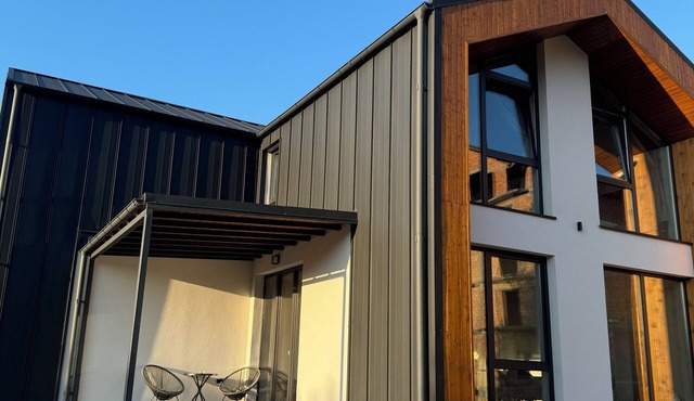 The NEST Villa in Borșa