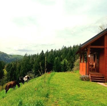 Tiny house in Žiri
