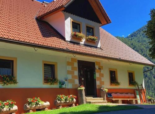 Tourist farm Gradišnik in Solcava