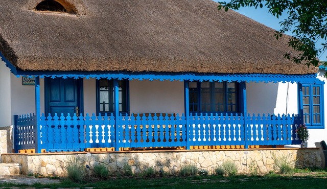 Traditional house with one bedroom apartment/fireplace and porch. in Jurilovca