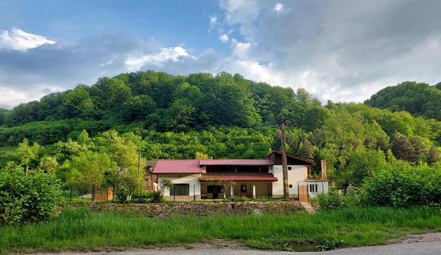 Transilvania 10 - Casa Poarta Văii Jiului in Petrosani