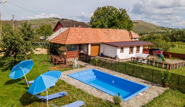 Transylvanian Cottage with Private Swimming Pool in Damiș