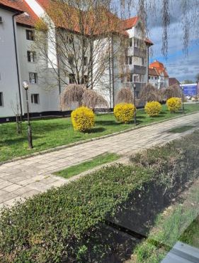 Tudor Central Apartment in Bistrita