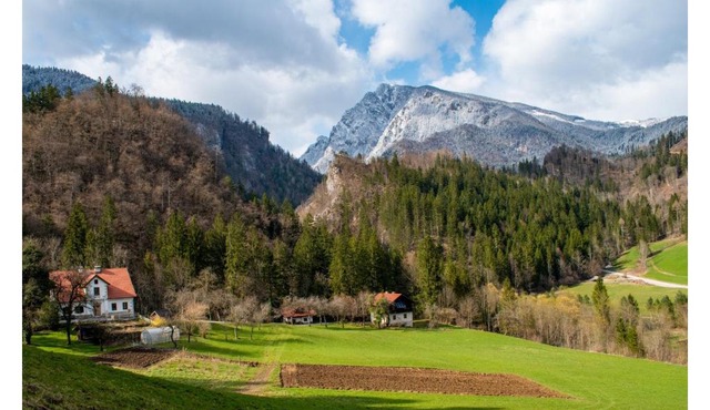Turistična kmetija Stoglej in Luce