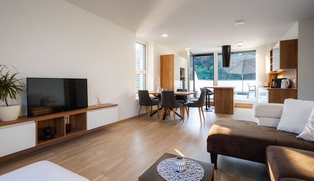 Two Bedroom Apartment with Terrace in Podčetrtek in Podcetrtek