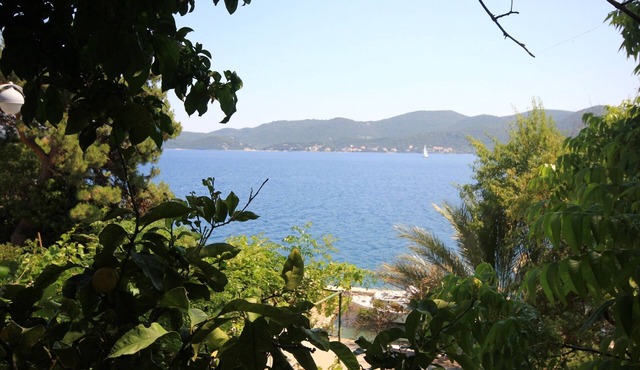 Two bedroom apartment near beach Viganj, Pelješac (A-633-c)