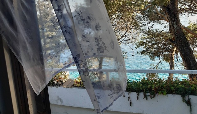 Two bedroom apartment near beach Lavdara, Dugi otok (A-8114-a)