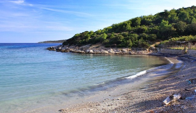 Two bedroom apartment near beach Milna, Vis (A-8944-a) in Vis