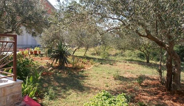 Two bedroom apartment with balcony Srima - Vodice, Vodice (A-22994-a)