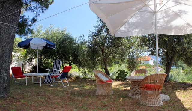 Two bedroom apartment with terrace and sea view Zavala, Hvar (A-594-b)