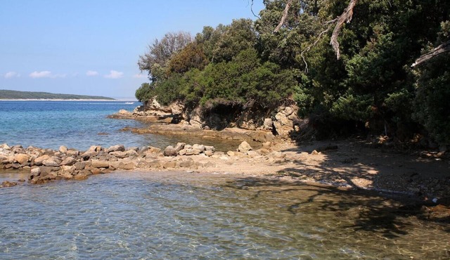 Two bedroom apartment with air-conditioning Supetarska Draga - Gonar, Rab (A-4987-a)