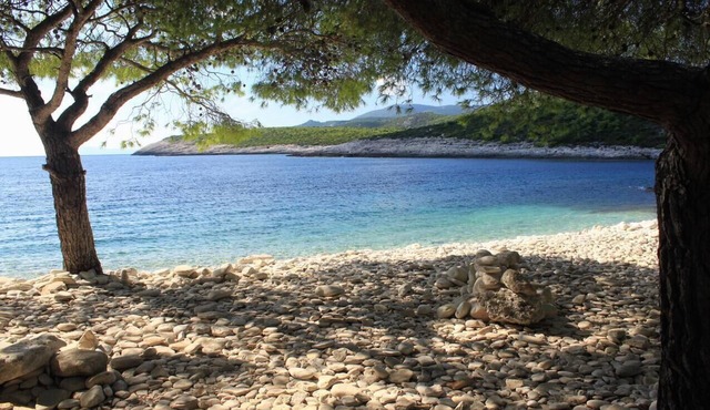 Two bedroom apartment with terrace Rukavac, Vis (A-8864-a) in Vis