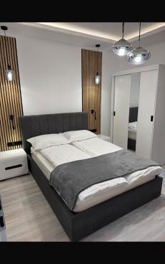Two Residence in Satu Mare