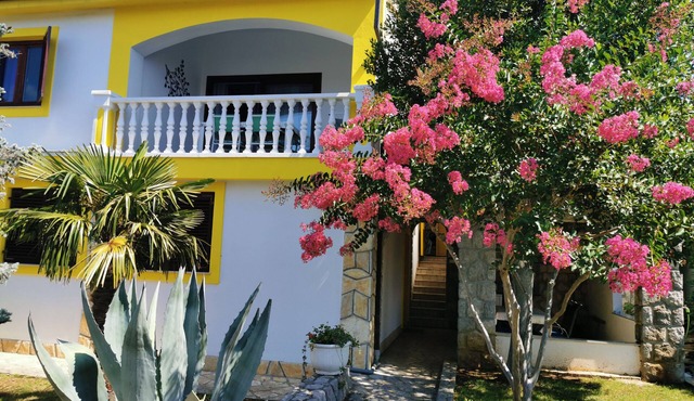 Vacation home Apartment in Croatia with sea view - AP2