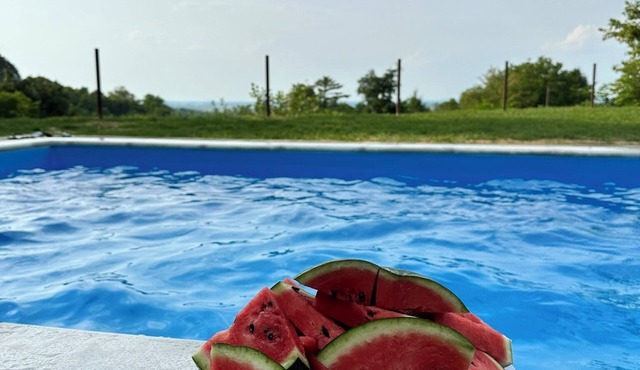 Vacation home with pool and sauna for families seeking peace and quiet. Pet friendly!