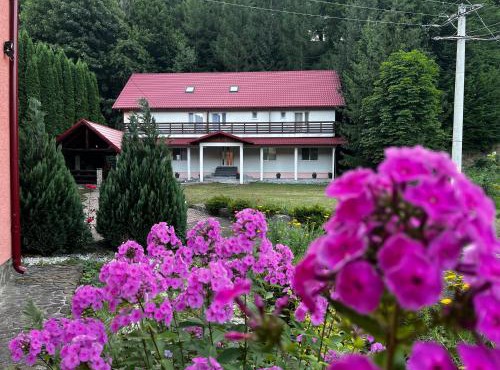 Vacation villa Sucevița in Sucevita