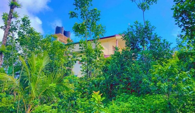 View point homestay Coorg ! in Kodagu