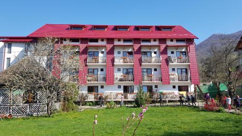 Vila Dracula in Căpăţîneni-Pămînteni