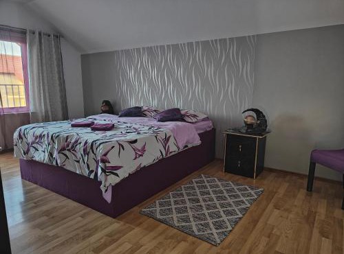 Vila Ekooos in Brasov
