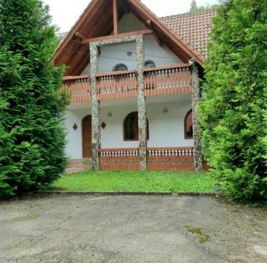 Vila Luca's in Cârțișoara