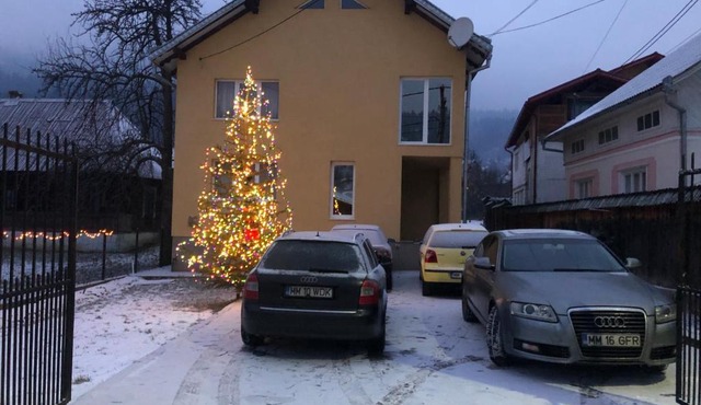Vila Mihali in Borşa