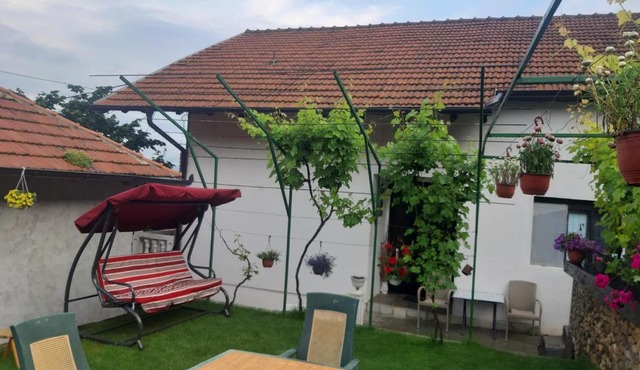 Vila Mir in Pirot