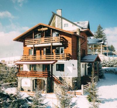 Vila Stefana Paltinis in Rasinari