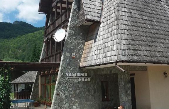 Vila Ursul in Ciungetu
