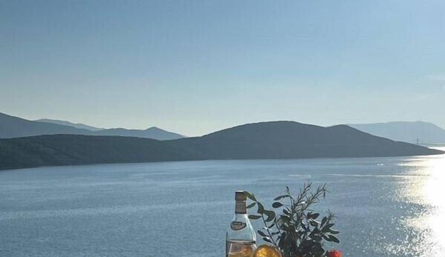 Villa Grande/Studio Apartment 8 in Neum