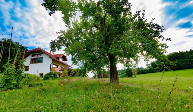 VILLA KATARINA APARTMENTS Nesteled in nature, wrapped in comfort. in Mokronog