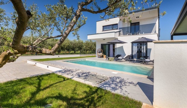 Villa Parenzana - beautiful modern built villa with private swimming pool near Porec in Mihatovici