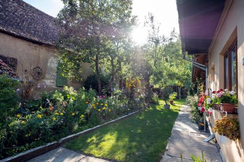 Villa Rihuini Retreat viticol eco & de patrimoniu în Transilvania in Richis