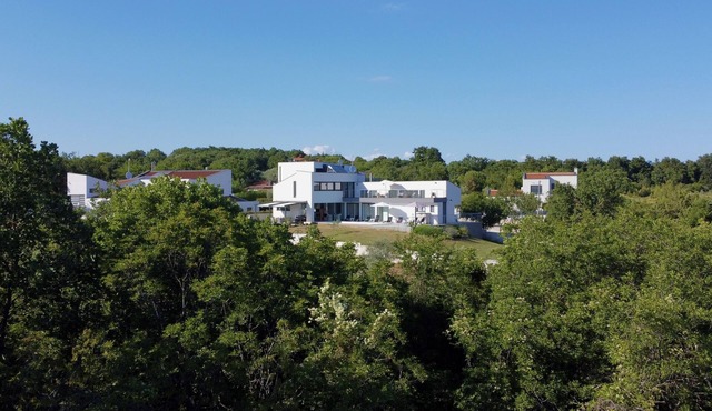 Villa with Private Pool Overlooking Olive Grove in Marčana