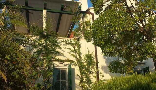 Villa with stunning views and beautiful garden in quiet location by the sea in Sutivan