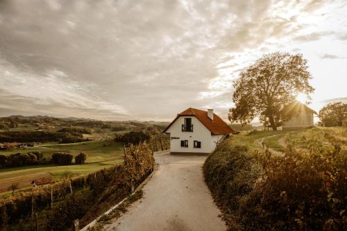 Vineyard Cottage Zdolsek in Šmarje pri Jelšah