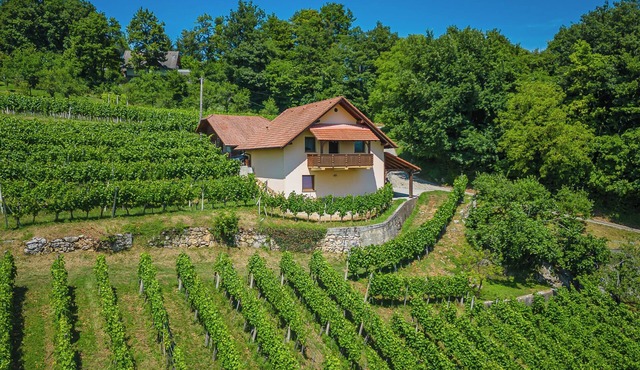 Vineyard Cottage Ucman, Otočec, Slovenia in Otočec