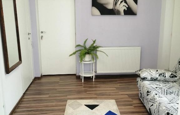 Violet House in Turda