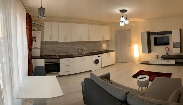 Visaj Residence rental in Timisoara