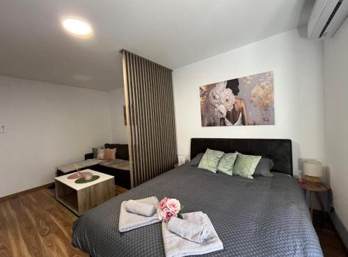 Vlasic Apartmani HANA in Vršac