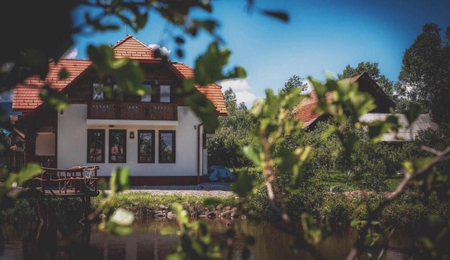 White Dove Pension in Siculeni