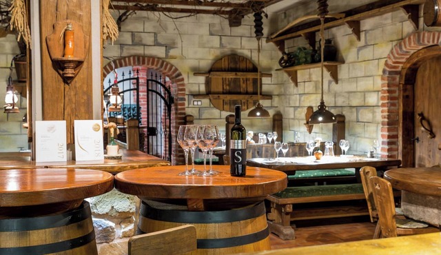 Wine & boutique hotel Terbotz