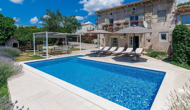 Wonderful villa with private pool, A/C, WIFI, TV, terrace, pets allowed, panoramic view and par... in Pazin