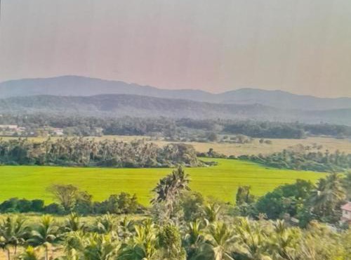Wonderville Villa in Cuncolim