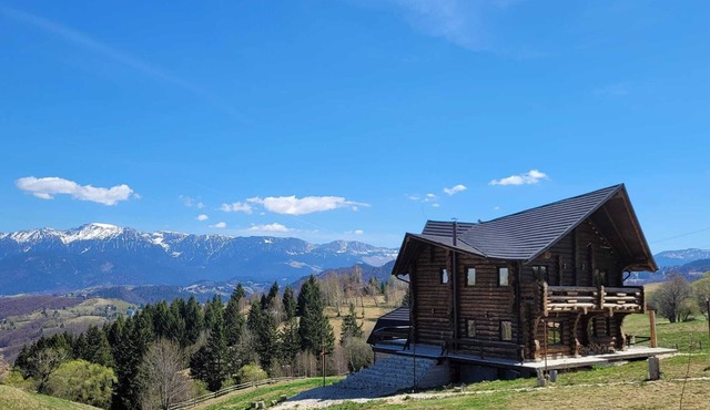 Your home away from home. 3 bedroom premium villa 20min away from Dracula Castle in Șirnea