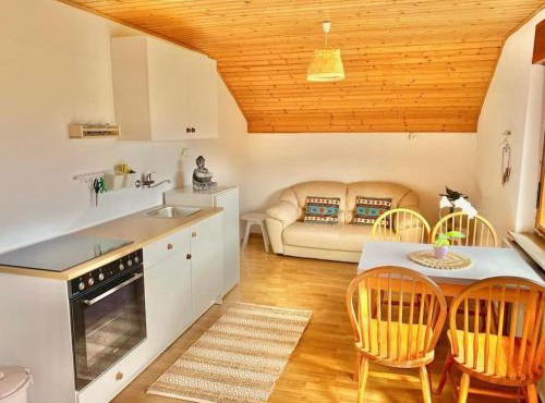 ZenHouseApartment in Ljubno
